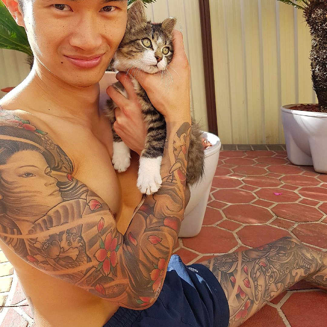 Louis is registered to the contest to win money with this photo: animal, casual, holding, kitten, man, nature, outdoor, patio, pet, plant, potted_plant, relaxed, shirtless, shorts, smiling, sunlight, tabby_cat, tattoo, tile_floor, young_adult
