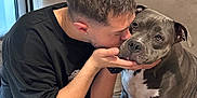 Jack a rejoint le concours — aidez-le/la à gagner de superbes lots ! affection, affectionate, black_tshirt, bond, casual_clothing, comfort, couch, dog, face, gray_dog, home, human_dog_interaction, indoor, living_room, love, man, pet, seated, shorts, white_chest_marking