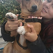 Romy a rejoint le concours — aidez-le/la à gagner de superbes lots ! animal, beads, casual, collar, cute, dog, friendly, greenery, happy, holding, jacket, leaves, nature, outdoor, pants, person, pet, portrait, sitting, smile
