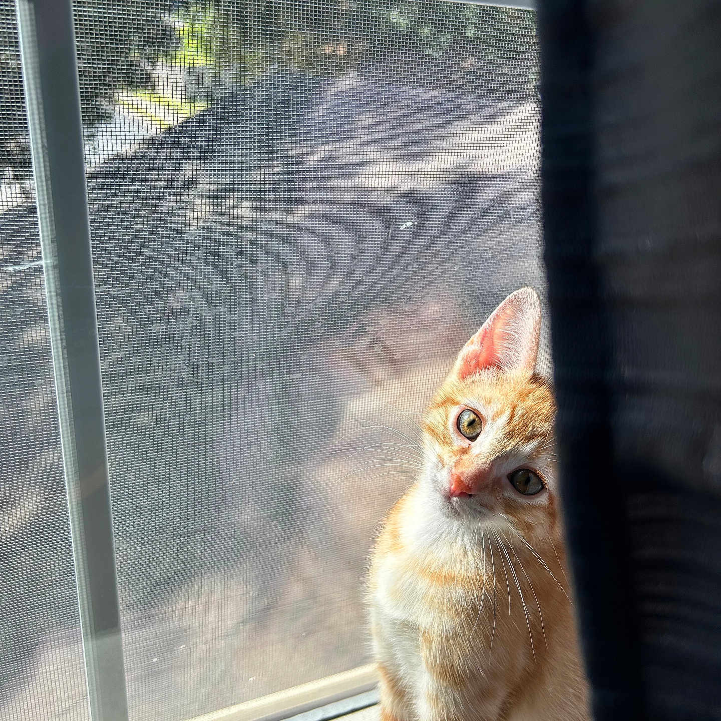 Copper