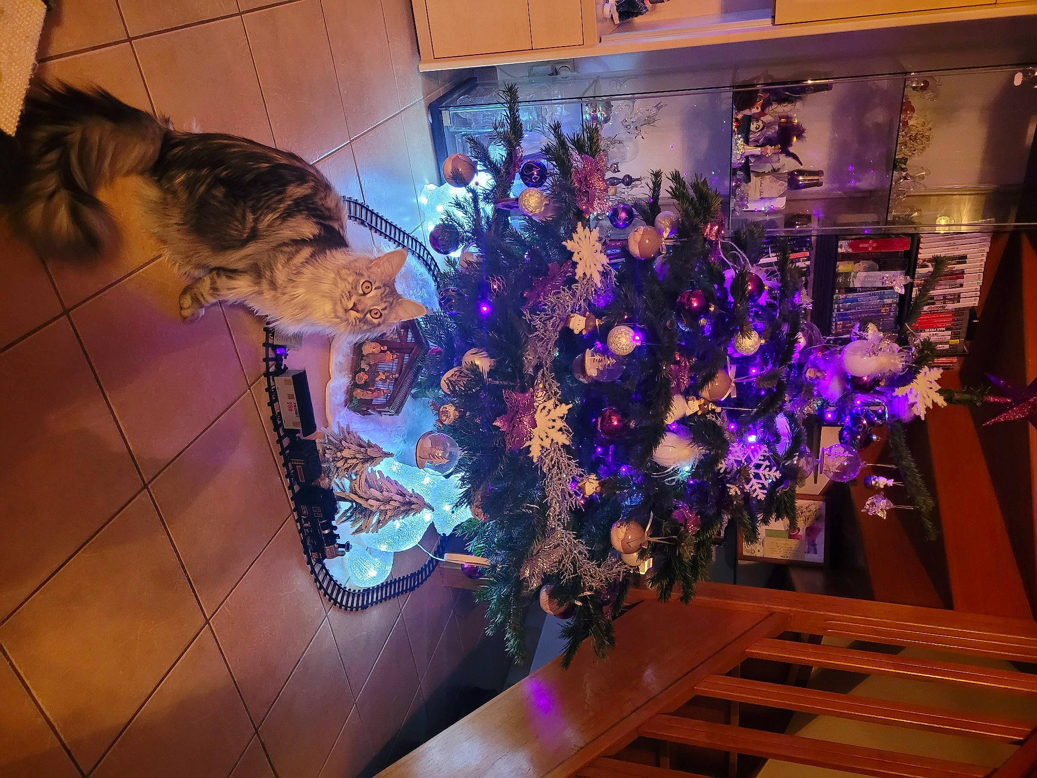 Stella a rejoint le concours — aidez-le/la à gagner de superbes lots ! art, christmas, christmas_decoration, christmas_eve, christmas_ornament, christmas_tree, decoration, electric_blue, event, fun, glass, holiday, interior_design, magenta, ornament, plant, purple, space, tree, violet