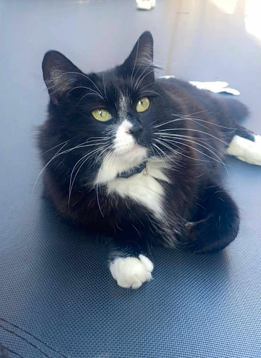Luna
