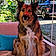 Suky