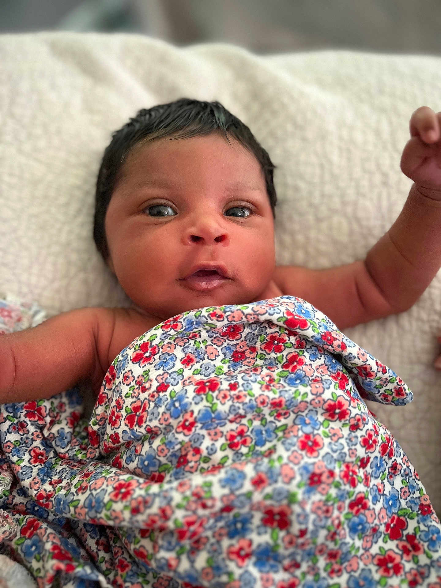 Charlotte Elizabeth is registered to the contest to win money with this photo: baby, infant, face, eyes, arms, blanket, floral_pattern, skin, newborn, cute, lying_down, closeup, expression, soft_texture, comfort, portrait, child, human, indoors, warm