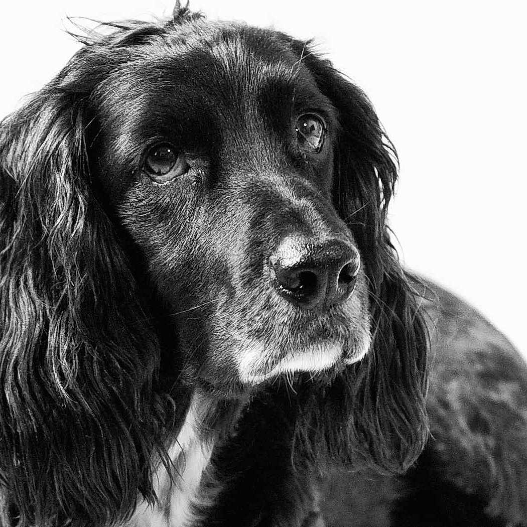 Maximilian joined the competition — help win amazing prizes!