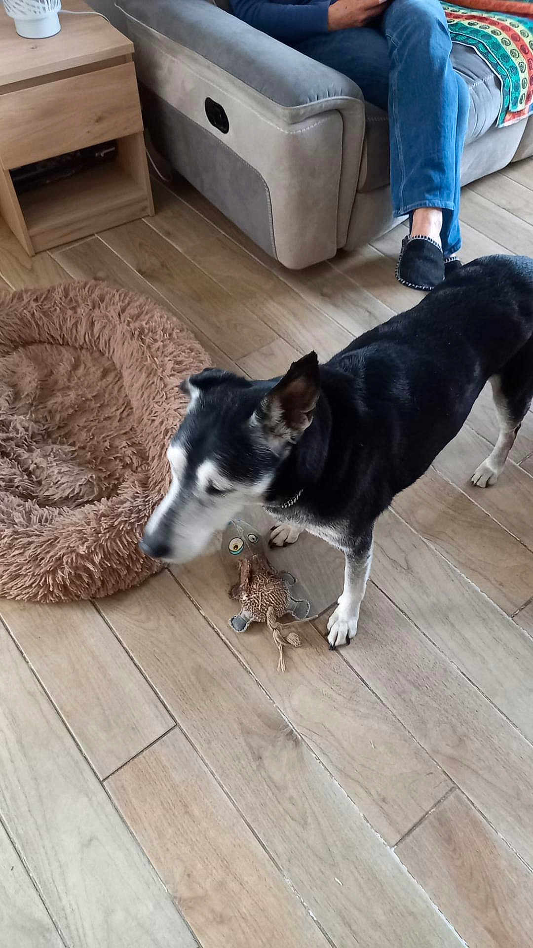 Alfie