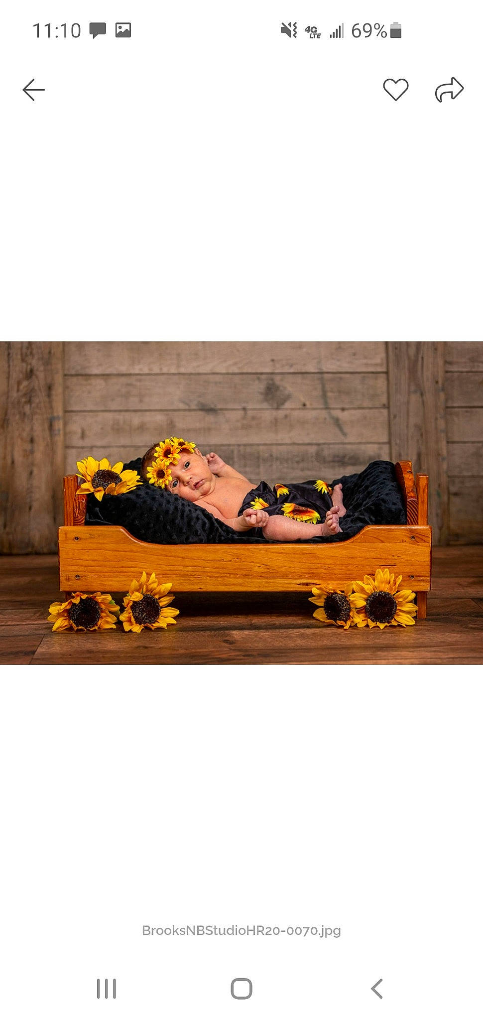 Evangeline joined the competition — help win amazing prizes! chaise_longue, coffin, couch, flower, footwear, furniture, person, plant, rectangle, wood, yellow