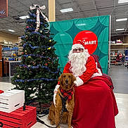 Chai is registered to the contest to win money with this photo: aisle, bandana, beard, christmas_tree, crate, dog, festive, floor, glasses, golden_retriever, hat, holiday_decor, indoor, leash, lighting, person, red_blanket, santa_claus, shopping, store