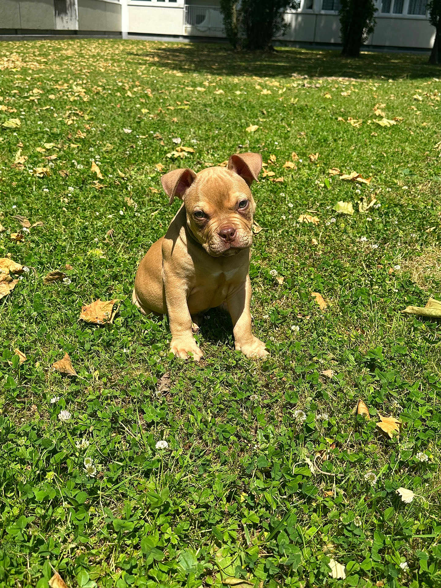 Kayzer