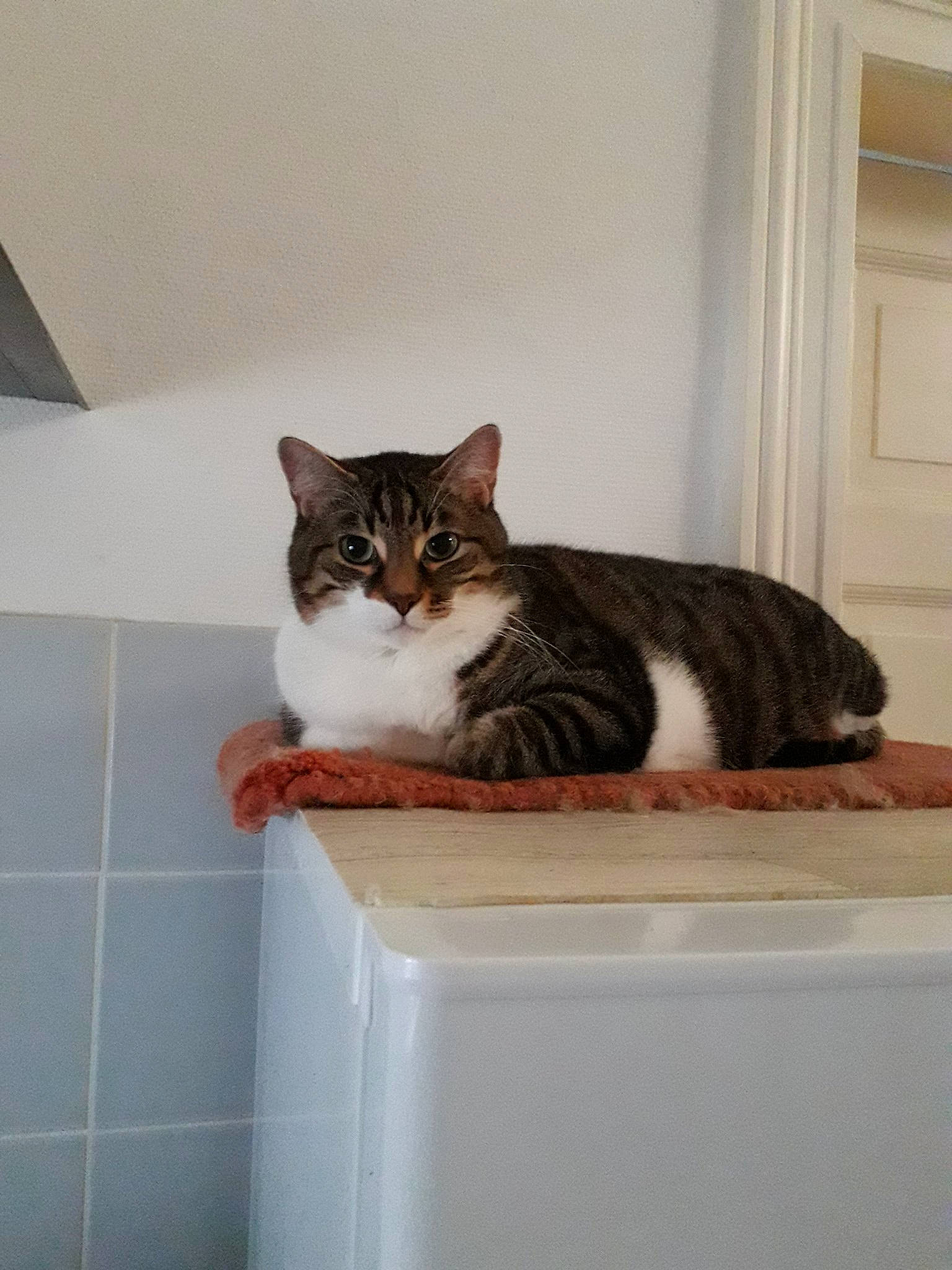 Charmeur participe au concours pour gagner de l'argent avec cette photo :