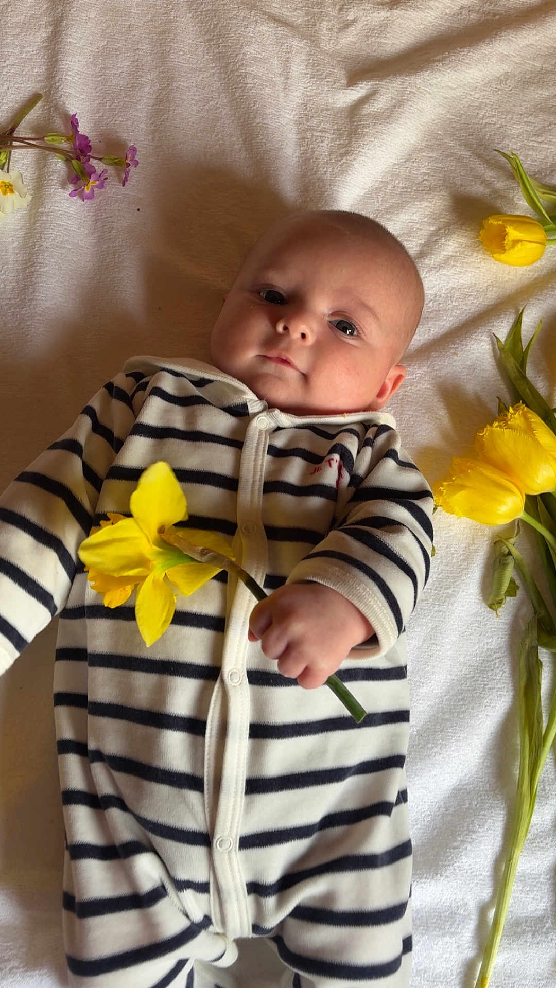 Gianni participe au concours pour gagner de l'argent avec cette photo : baby, infant, child, striped_onesie, daffodil, tulip, yellow_flower, hand_holding_flower, lying_on_blanket, blanket, bedding, portrait, face, eyes, newborn, soft_lighting, indoor, cute, spring, flower_arrangement