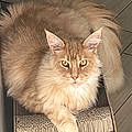 Jerome G.