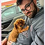 beard, brown_dog, car_interior, casual_clothing, cute, dog, glasses, hoodie, indoor, man, parking_lot, person, pet, portrait, puppy, rain, seatbelt, smile, vehicle, window
