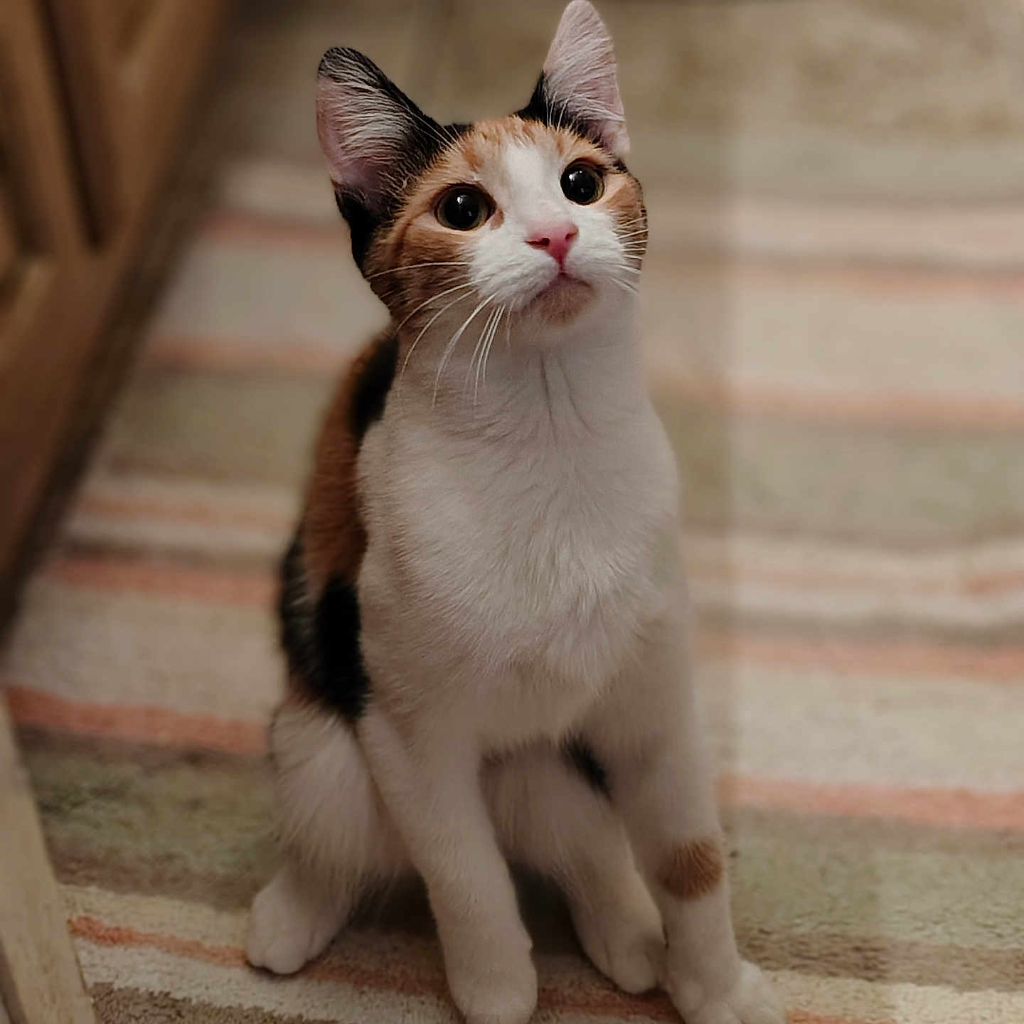 Penny
