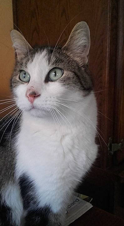 HAMPTON participe au concours pour gagner de l'argent avec cette photo :