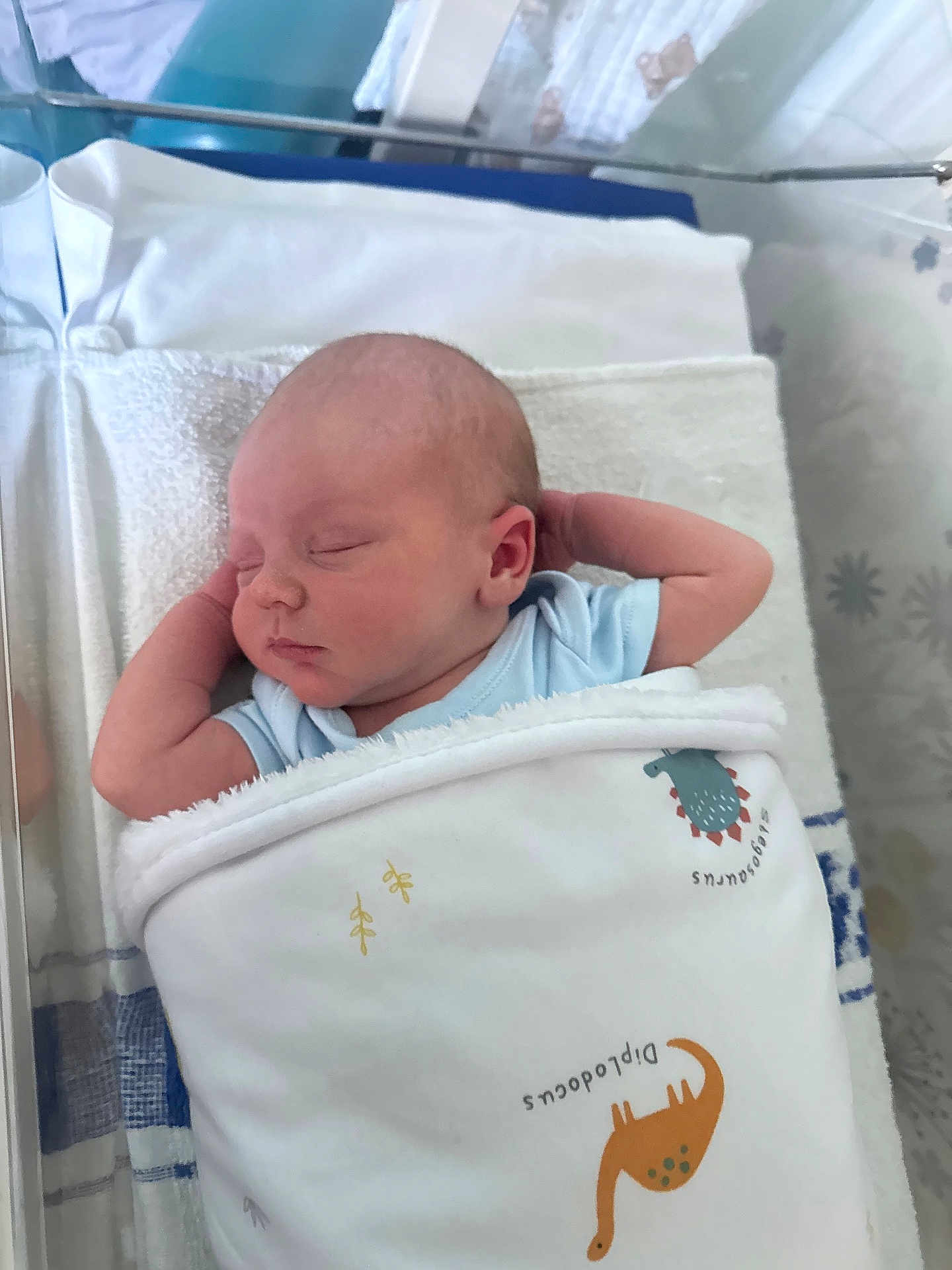 Noah is registered to the contest to win money with this photo: newborn, baby, sleeping, blanket, dinosaur, hospital, bassinet, infant, cute, peaceful, swaddled, child, resting, soft, toddler, blue_clothing, face, head, arm, indoors