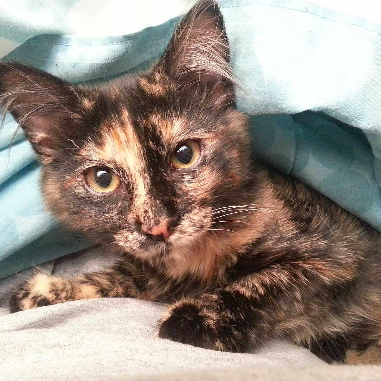 Penny joined the competition — help win amazing prizes!