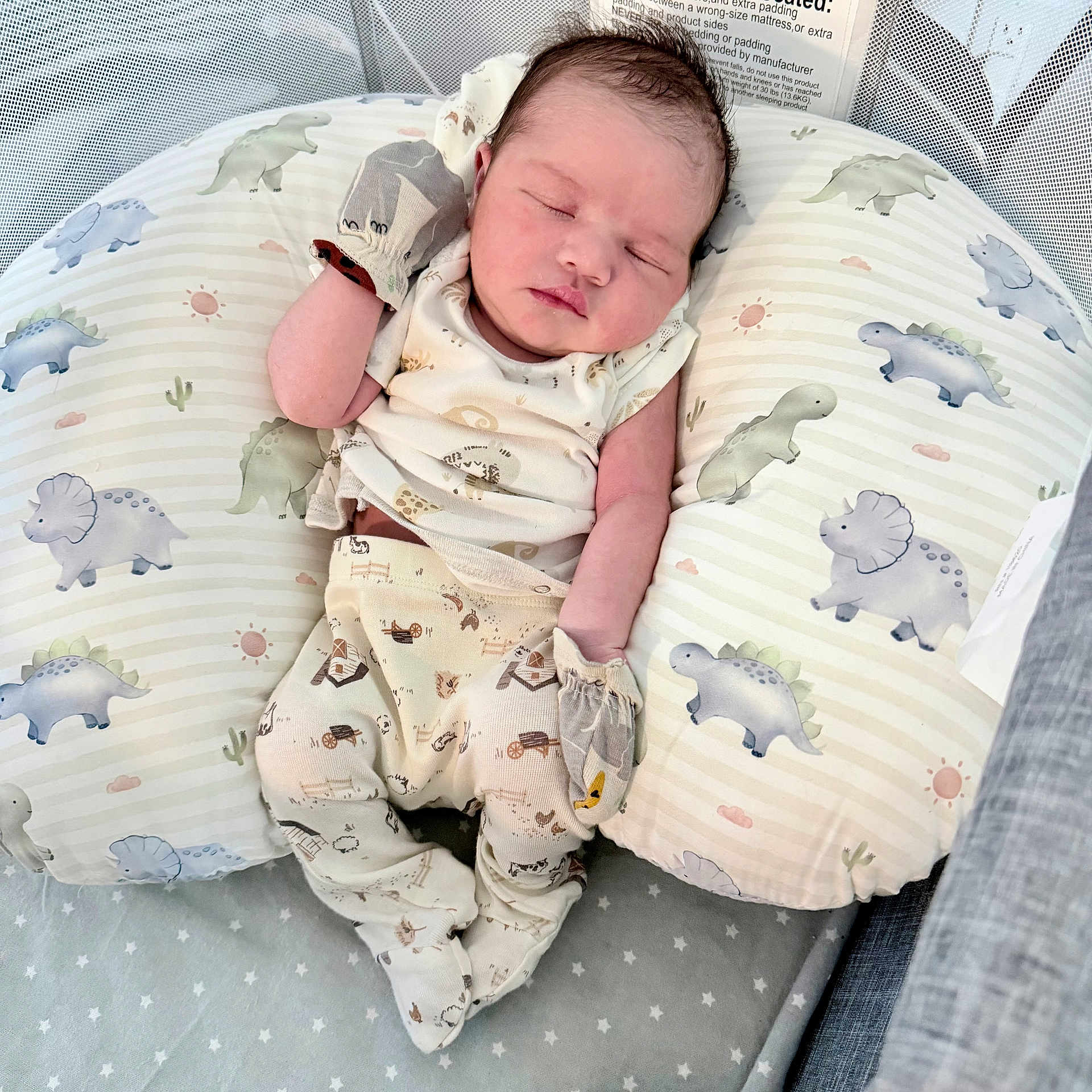 Eli is registered to the contest to win money with this photo: baby, newborn, sleeping, mittens, pajamas, dinosaur_pattern, pillow, plush, bed, bedding, infant, cute, resting, soft, cozy, child, nursery, peaceful, indoors, person