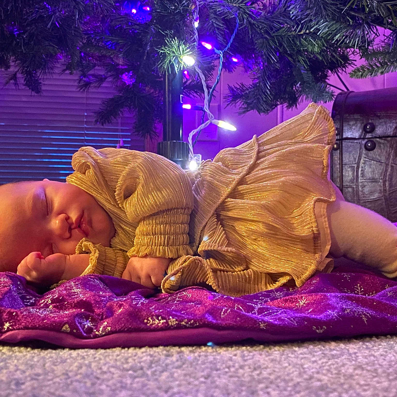 Lauren joined the competition — help win amazing prizes! christmas, christmas_decoration, christmas_eve, comfort, event, fun, grass, holiday, human_leg, lap, leisure, magenta, ornament, performance_art, plant, purple, room, sitting, tree, violet