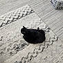 cat, black_cat, indoor, carpet, rug, patterned_rug, laundry_basket, laundry, household, pet, feline, resting, cozy, fur, animal, domestic, floor, quiet, home, relaxed