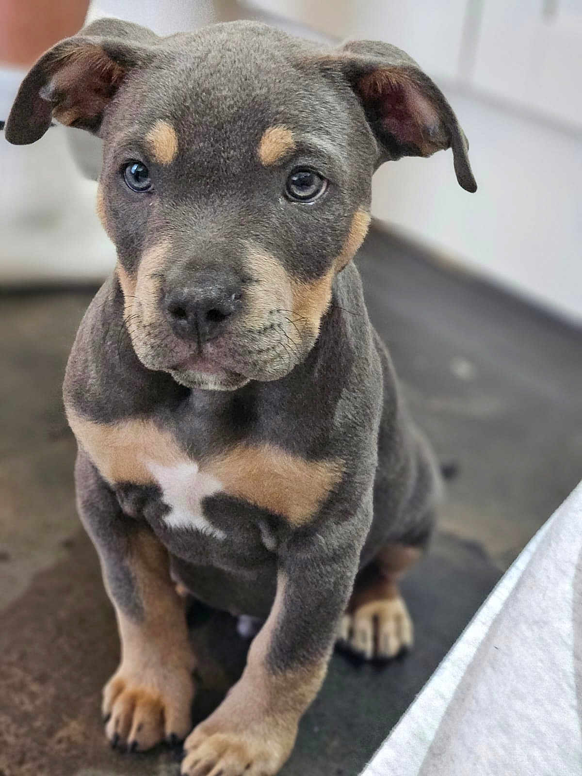 Odin