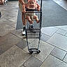 baby, child, smiling, shopping_cart, store_entrance, indoor, adult, parent, headband, pink_bow, seated, happy, portrait, floor_tiles, doors, retail, family, cart, shopping, playful