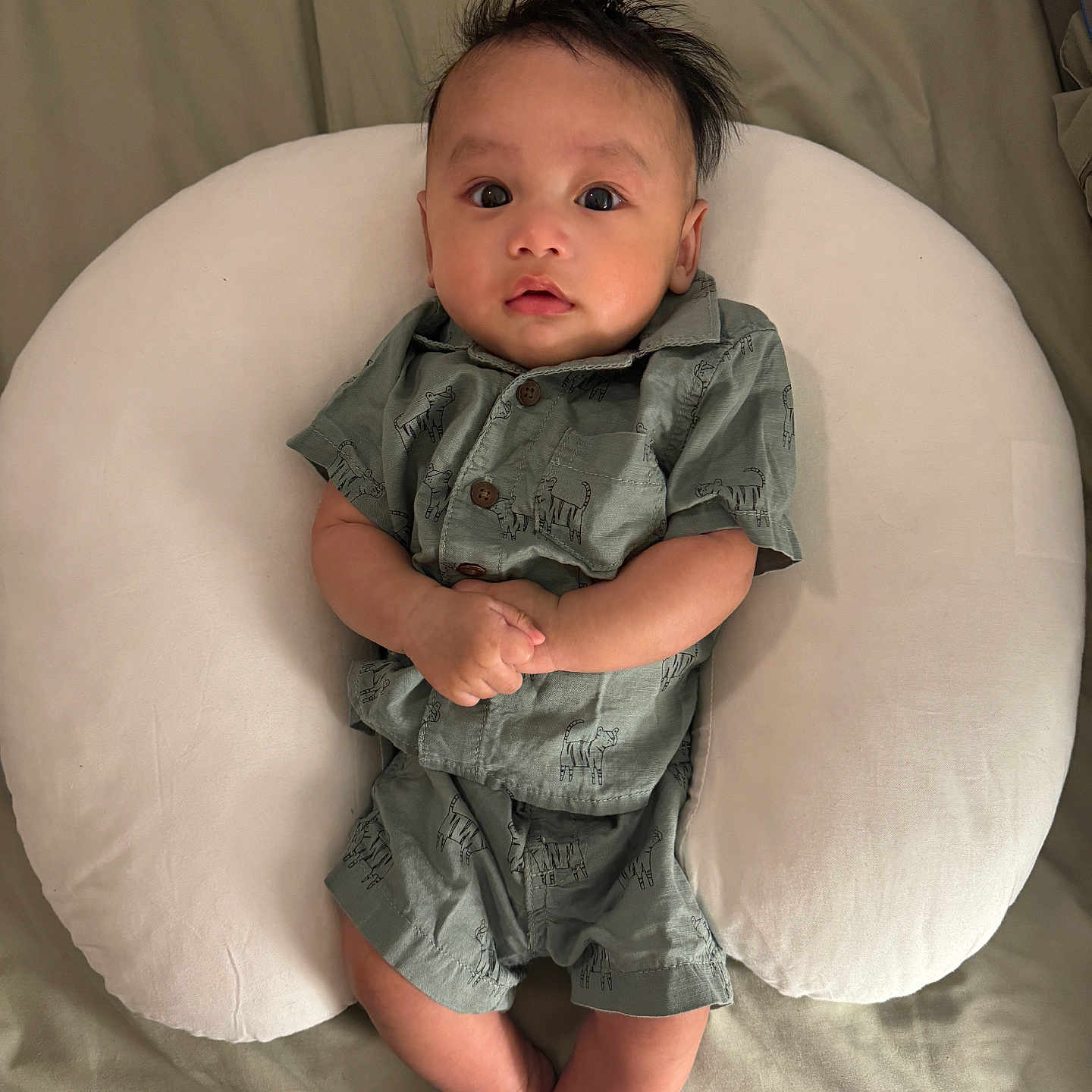 Jadhen is registered to the contest to win money with this photo: ankle, applique, armchair, baby, bed, blanket, bodypart, chair, clothing, couch, cushion, dress, eveningdress, face, finger, flower, flowerarrangement, flowerbouquet, formalwear, furniture