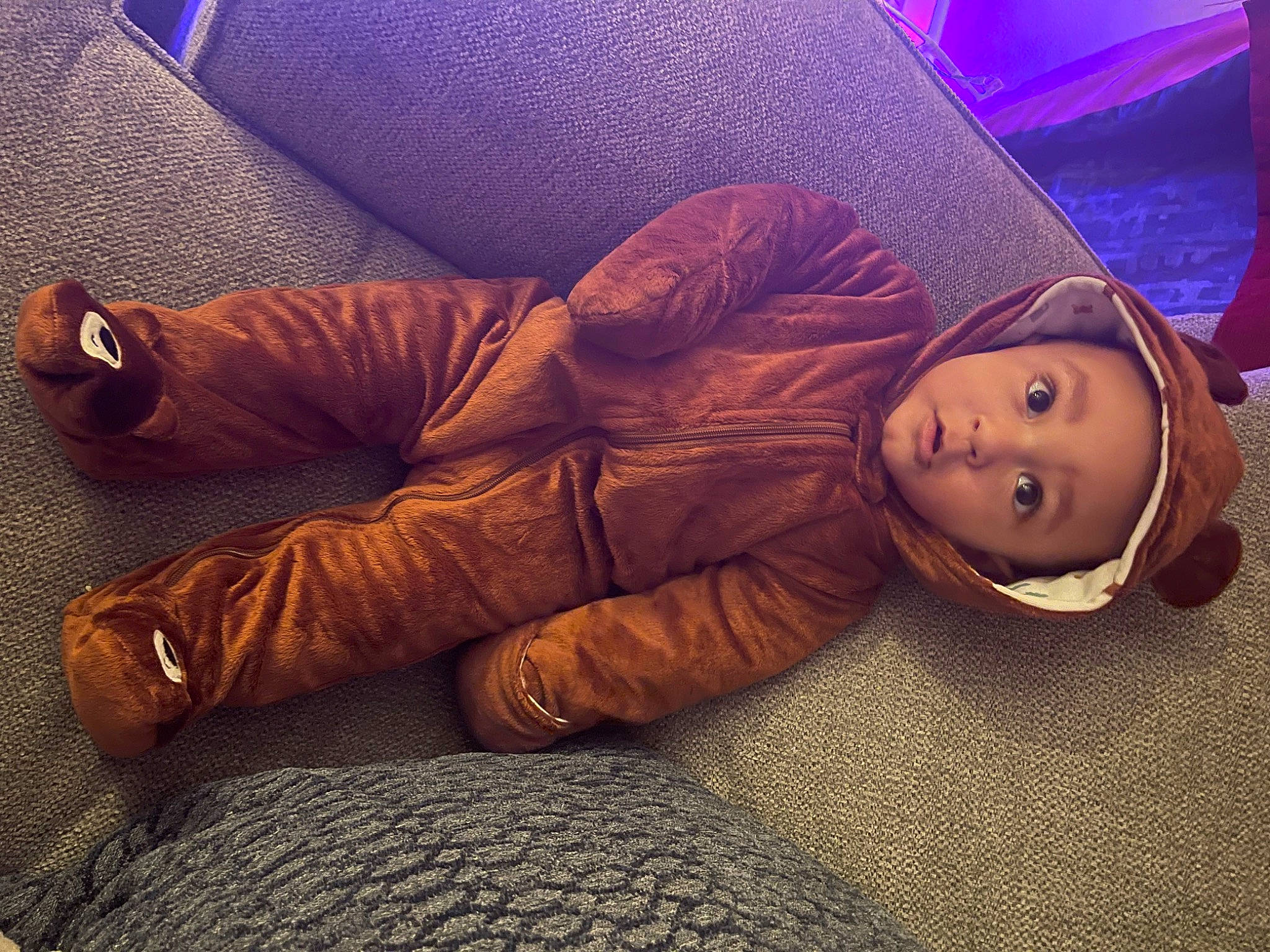 Norman is registered to the contest to win money with this photo: child, cloud, comfort, electric_blue, floor, flooring, fur, grass, hardwood, headwear, human_body, human_leg, knee, long_hair, mammal, person, sportswear, textile, thigh, tints_and_shades