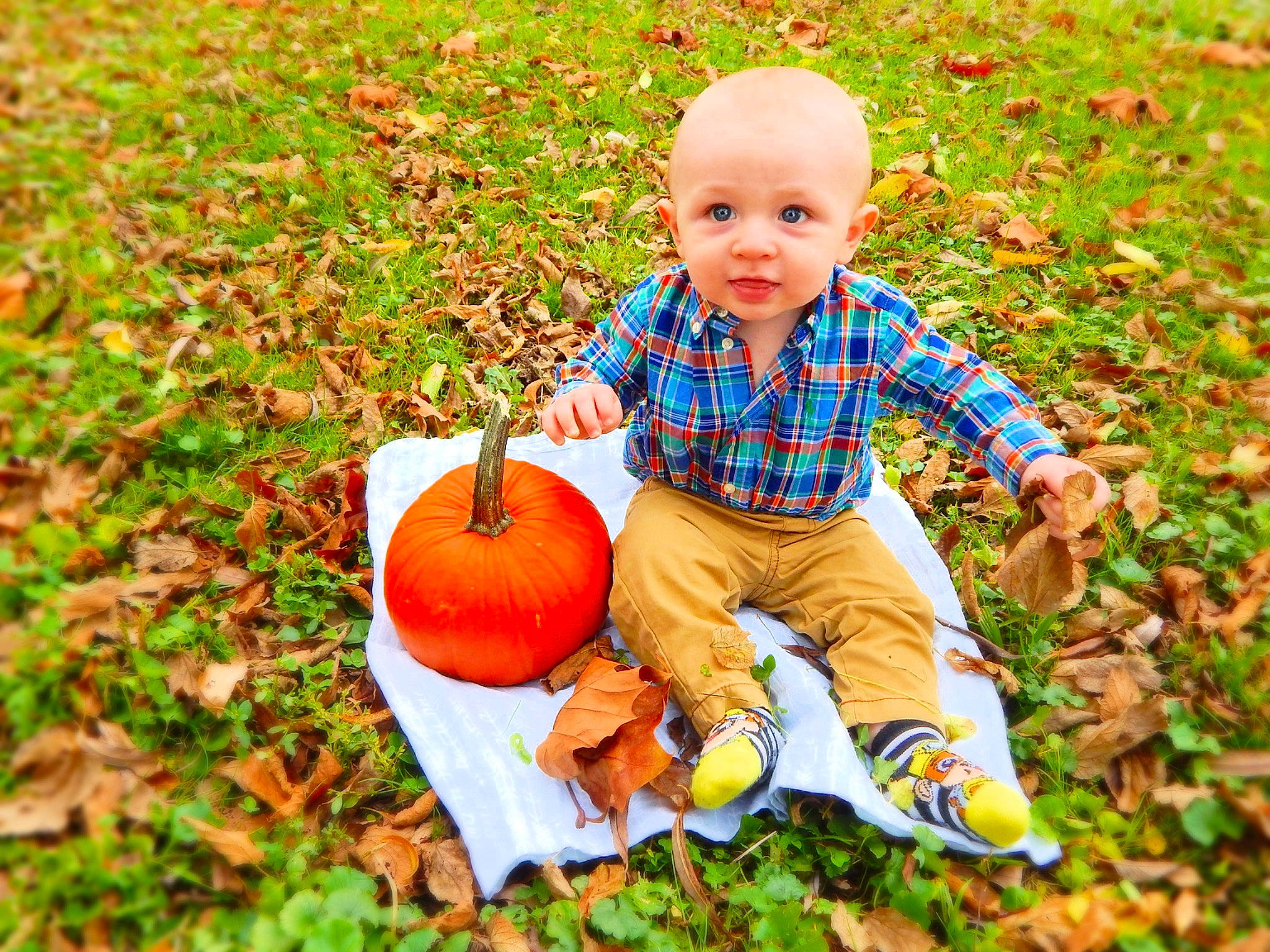 Maverick is registered to the contest to win money with this photo: baby, baby_toddler_clothing, calabaza, dress, eye, face, grass, happy, head, human_body, nature, orange, people_in_nature, person, photograph, plant, playing_with_kids, pumpkin, smile, toddler