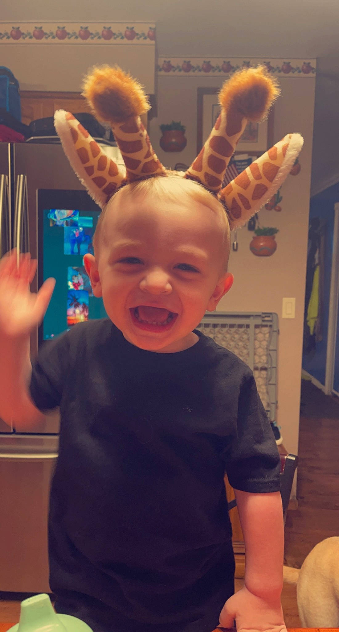 Maverick is registered to the contest to win money with this photo: cheek, chin, ear, eye, facial_expression, forehead, gesture, hand, human_body, iris, jaw, joint, mouth, neck, nose, organ, person, shoulder, sleeve, smile