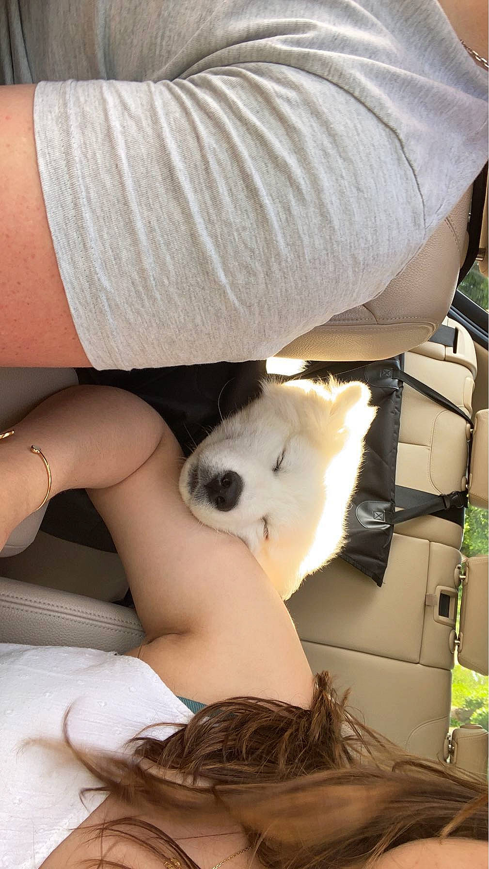 Talya a rejoint le concours — aidez-le/la à gagner de superbes lots ! abdomen, carnivore, comfort, companion_dog, elbow, eyewear, fawn, human_leg, knee, lap, leg, mammal, shipping_box, stuffed_toy, sunglasses, textile, thigh, toy, trunk, waist