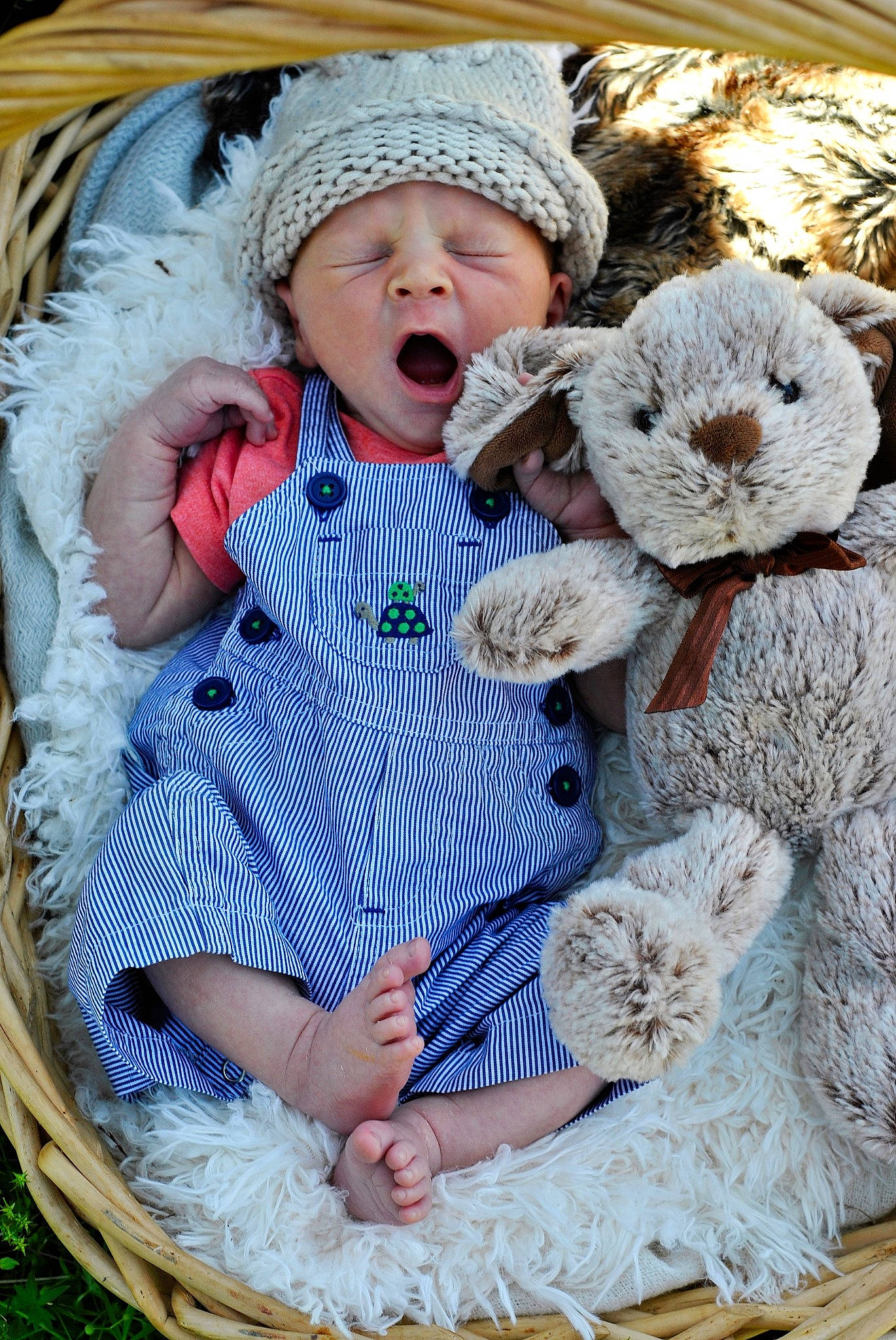 Hunter joined the competition — help win amazing prizes! baby, baby_products, basket, bonnet, child, fur, headwear, pattern, person, play, product, teddy_bear, textile, toddler, toy, wicker, wool
