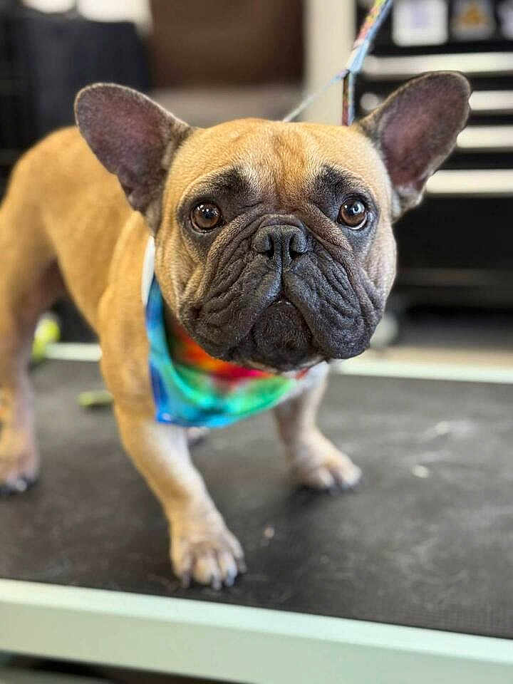 Fred