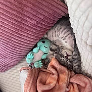 Kitty a rejoint le concours — aidez-le/la à gagner de superbes lots ! kitten, sleeping, cushion, blanket, plush_toy, cozy, indoor, pet, soft_texture, striped, fur, pink, white, gray, cute, relaxed, nap, small, animal, comfort