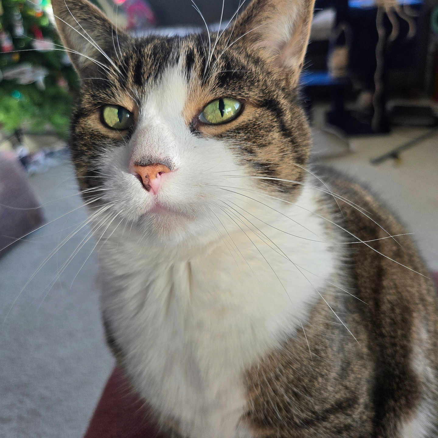 Tigger
