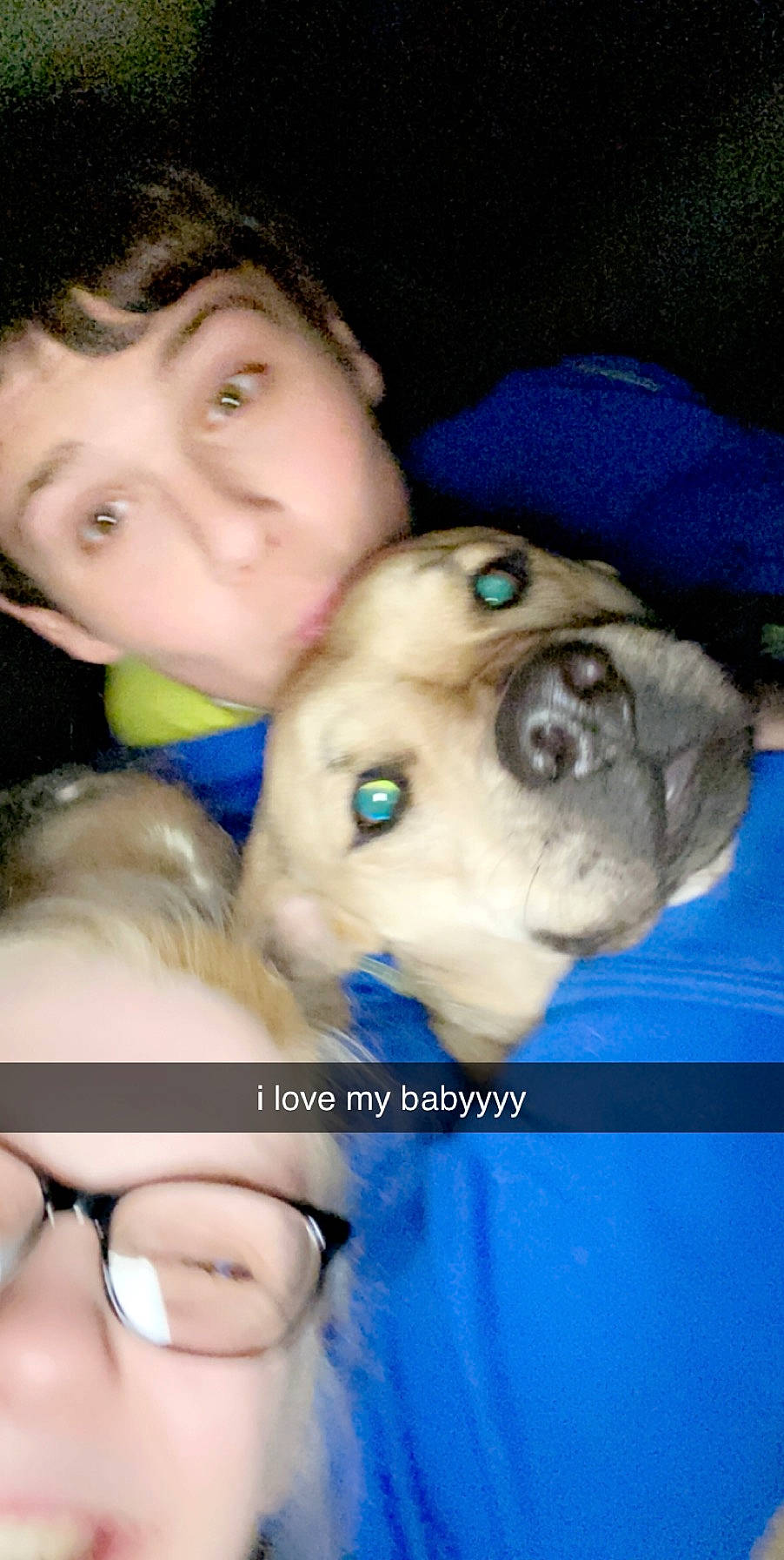 Muffin joined the competition — help win amazing prizes! child, fawn, nose