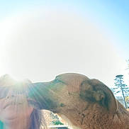 Leny participe au concours pour gagner de l'argent avec cette photo : dog, person, sunglasses, sunlight, outdoor, affection, pet, animal, face, head, fur, lightflare, nature, sky, tree, daytime, smile, closeup, interaction, warmth