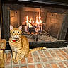 Kal-El joined the competition — help win amazing prizes! cat, orange_tabby, fireplace, fire, brick, hearth, collar, pet, animal, indoor, cozy, warm, mesh_screen, wood_logs, sitting, curious, fur, eyes, tail, home