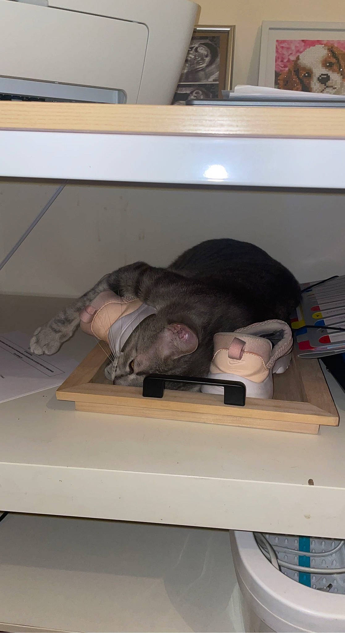 Socrat a rejoint le concours — aidez-le/la à gagner de superbes lots ! automotive_design, carton, comfort, flooring, machine, office_equipment, paper, paper_product, personal_protective_equipment, plastic, room, shelving, wood