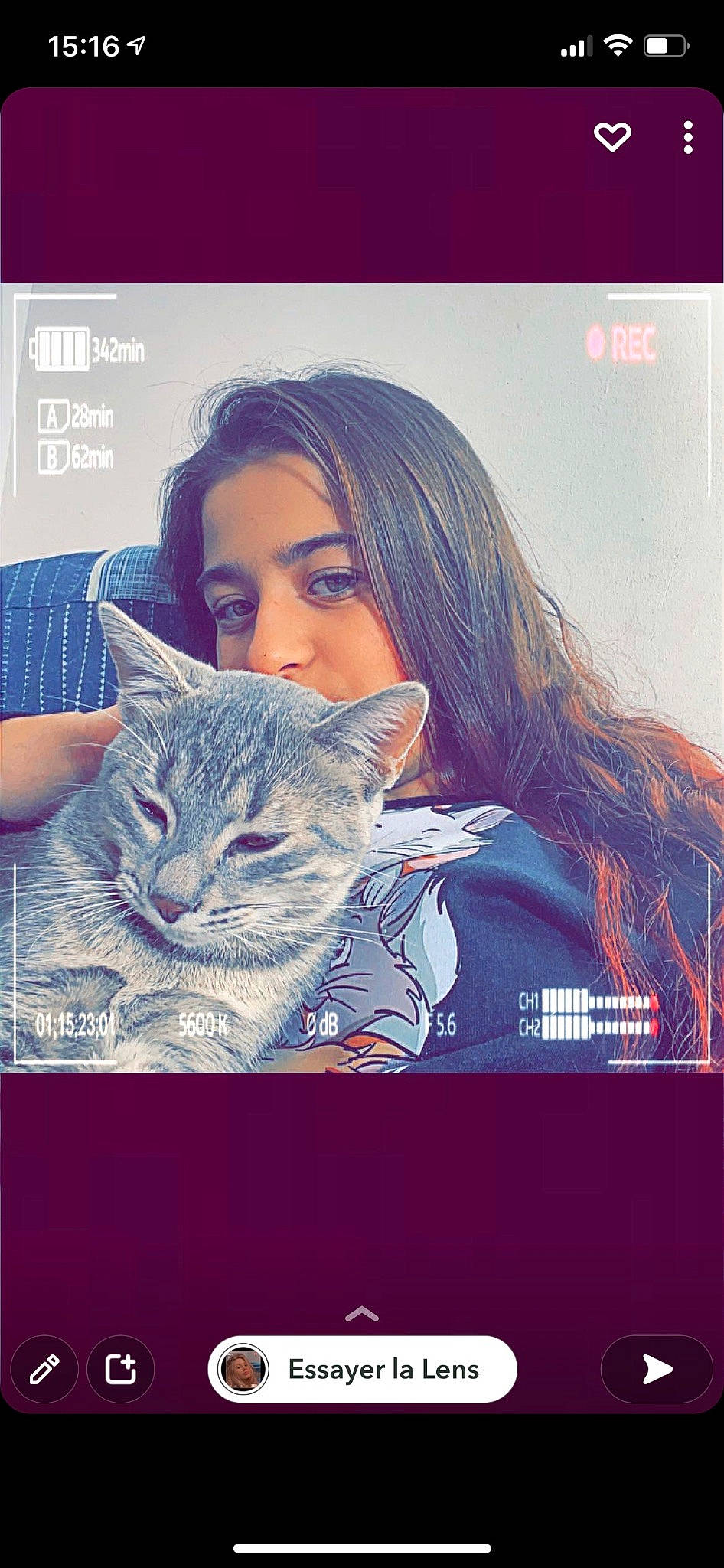 Socrat a rejoint le concours — aidez-le/la à gagner de superbes lots ! advertising, carnivore, cat, cool, denim, display_device, domestic_short_haired_cat, electric_blue, eyelash, felidae, font, formal_wear, fur, gesture, happy, illustration, photo_caption, sitting, small_to_medium_sized_cats, whiskers