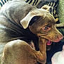 Hemi Maynor is registered to the contest to win money with this photo: