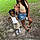 Kyasia H.