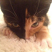 Mille is registered to the contest to win money with this photo: