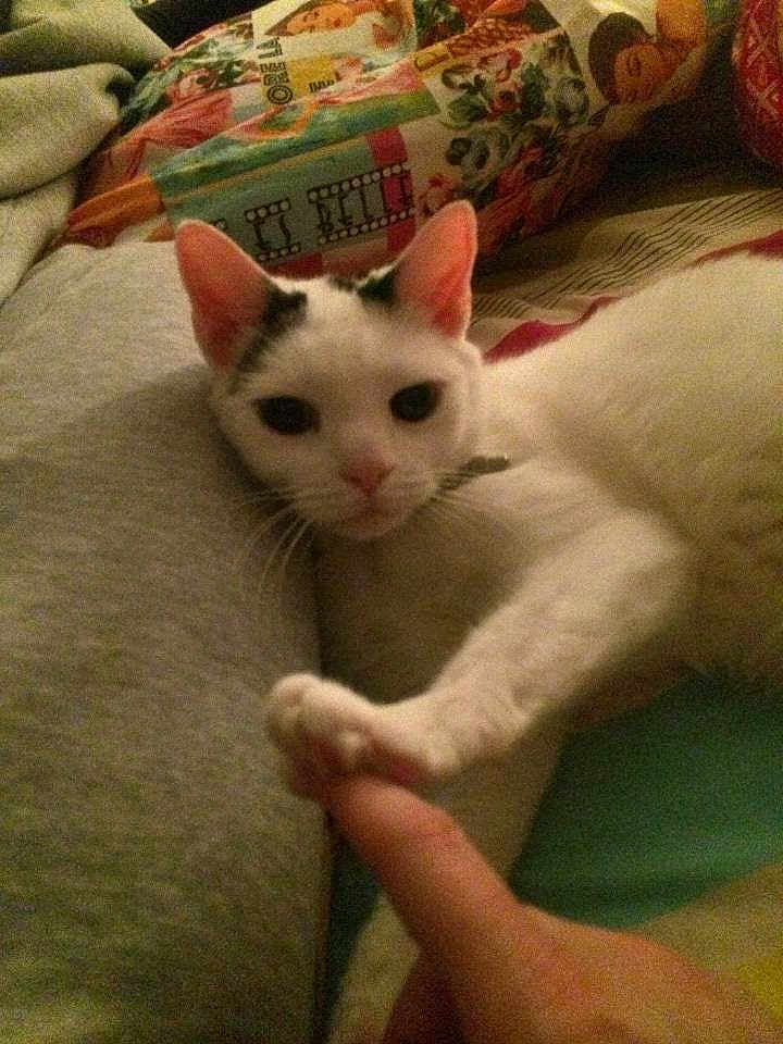 Smudge
