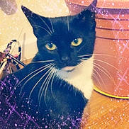 Minky joined the competition — help win amazing prizes!