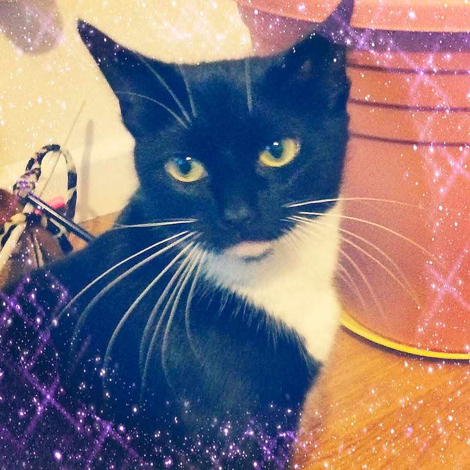 Minky joined the competition — help win amazing prizes!