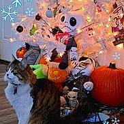 Sabertooth joined the competition — help win amazing prizes! cat, christmas_tree, pumpkin, plush_toy, nightmare_before_christmas, holiday_decor, white_tree, lights, floor, indoor, decorations, festive, orange, black, green, wood_floor, snowflake_graphic, stuffed_animal, holiday_theme, pet