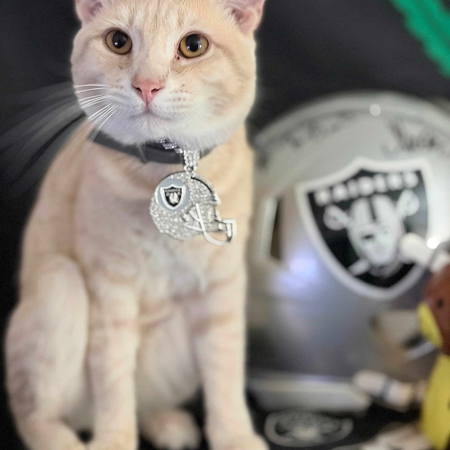 Simba