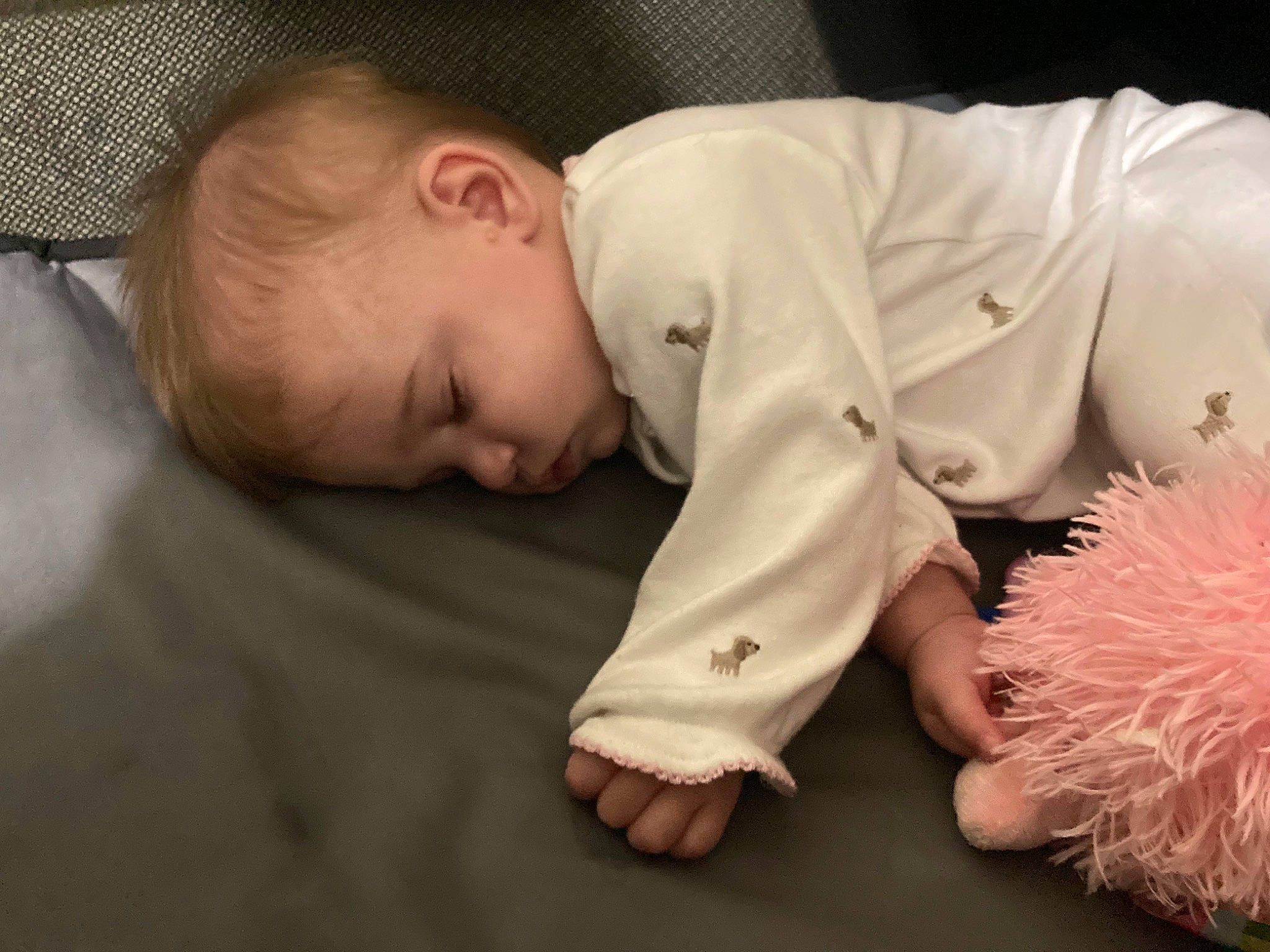 Willow joined the competition — help win amazing prizes! baby, baby_toddler_clothing, child, comfort, fedora, finger, flooring, flower, grass, happy, head, linens, mammal, person, petal, plant, room, sitting, sleeve, toddler