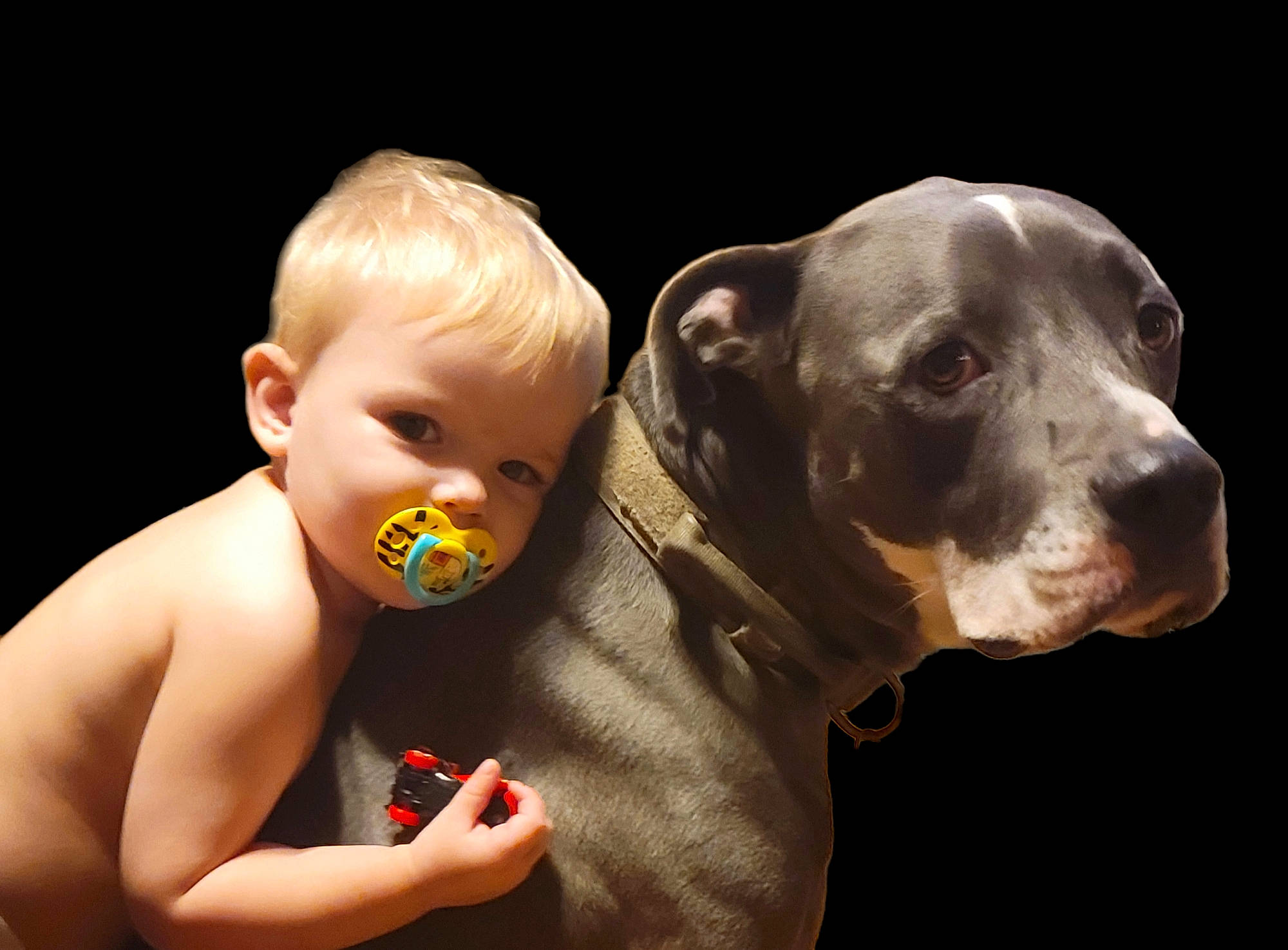 Broly joined the competition — help win amazing prizes! baby, carnivore, chin, companion_dog, dog, dog_breed, ear, eye, face, flash_photography, gesture, happy, head, human_body, mouth, nose, person, skin, toddler, whiskers